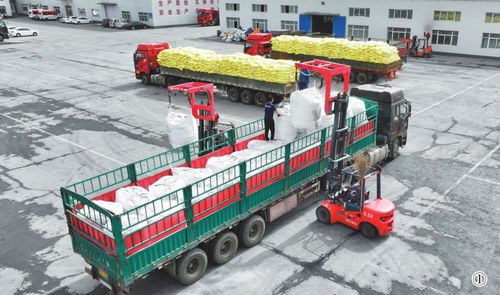 滿負荷生產化肥助春耕 運輸保障筑牢豐收根基