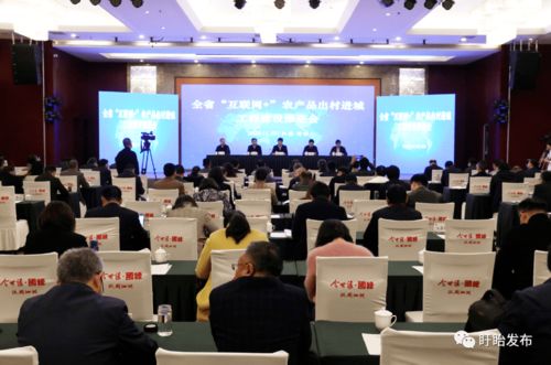 全省互聯網農產品出村進城工程建設推進會在盱眙召開，共筑農產品電商發展新藍圖